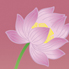 02-20