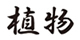 shokubutsu