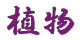 shokubutsu