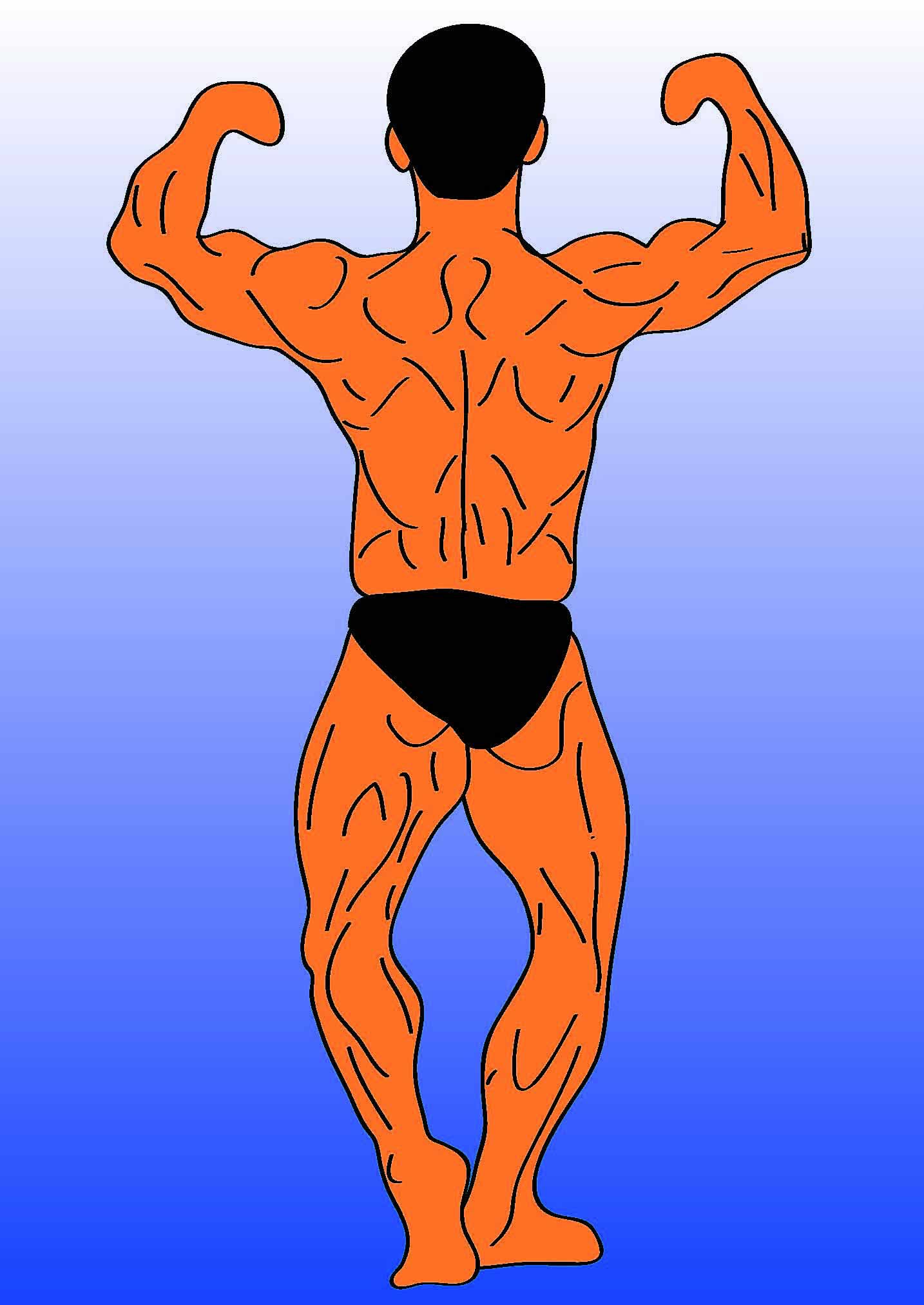 bodybilder2
