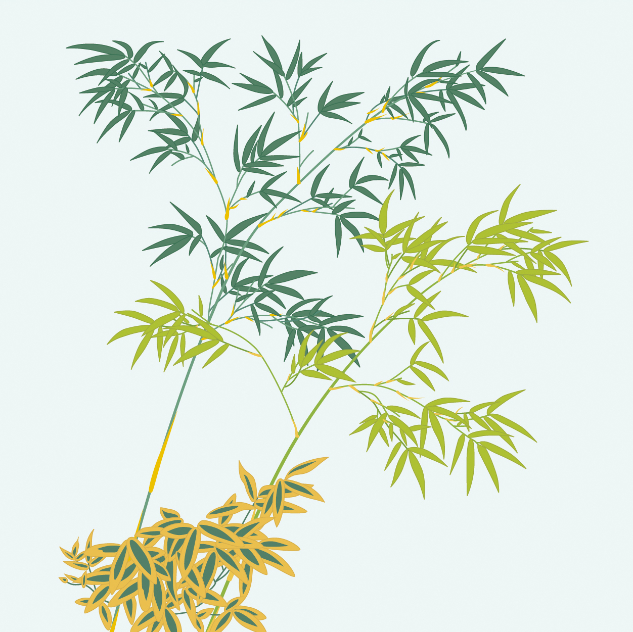 緑