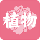 讀咲黄
